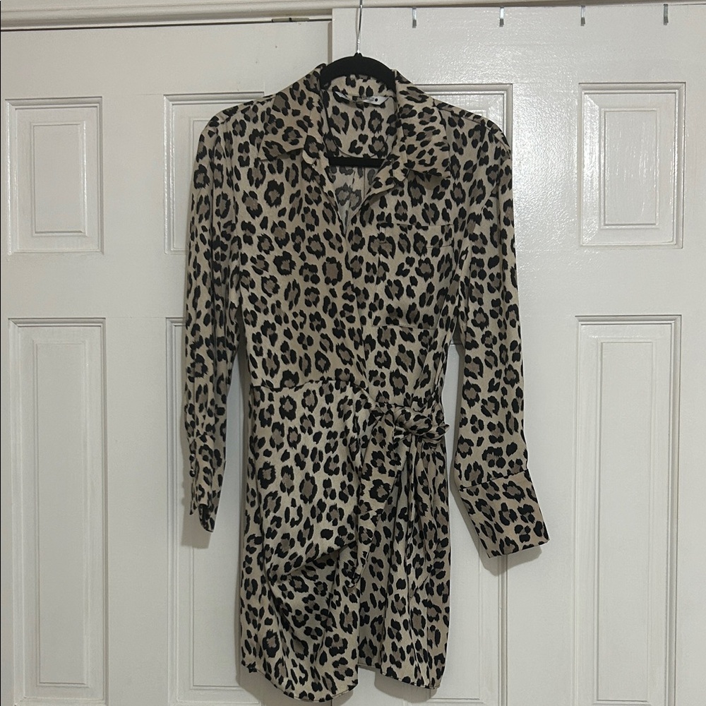 Zara Leopard Print Mini Dress